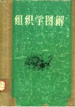 组织学图解