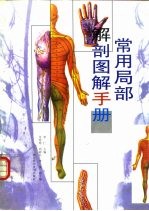 常用局部解剖图解手册