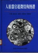 人胎器官超微结构图谱