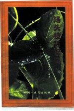 汤头技巧记忆