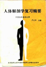 人体解剖学复习精要