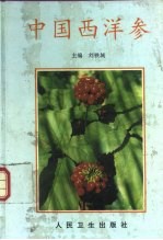 中国西洋参