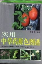 实用中草药原色图谱 2