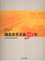 湖北改革开放30年