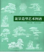 盆景造型艺术图谱