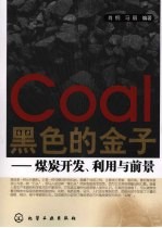 黑色的金子：煤炭开发、利用与前景