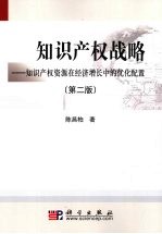 知识产权战略 知识产权资源在经济增长中的优化配置