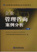 企业管理咨询案例分析 下