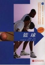 篮球 单色版