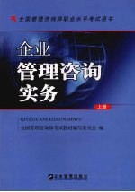 企业管理咨询实务 上