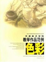 天津美术学院色彩教学作品范例