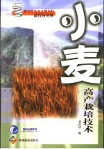 小麦高产栽培技术