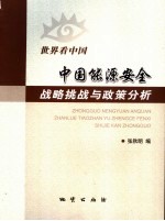 中国能源安全战略挑战与政策分析 世界看中国