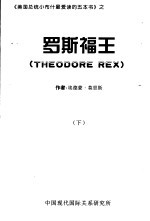 《美国总统小布什最爱读的五本书》 罗斯福王 下
