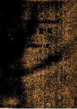 重庆市九龙坡区人民政府办公室 工作通报 2001年 第2-9期 2