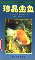 珍品金鱼