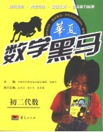 华夏数学黑马 初二代数