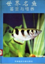 世界名鱼鉴赏与喂养
