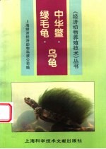 中华鳖 乌龟 绿毛龟