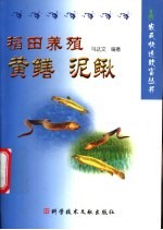 稻田养殖黄鳝 泥鳅