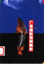 广告摄影范例解析
