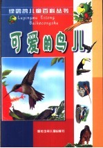 可爱的鸟儿