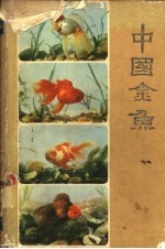 中国金鱼