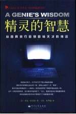精灵的智慧 从首席执行官到营销天才的神话