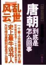唐朝到底是怎么回事 5