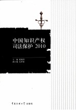 中国知识产权司法保护 2010