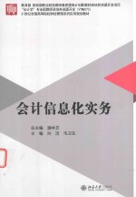 会计信息化实务