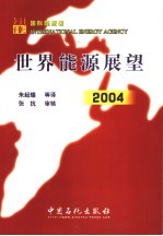 世界能源展望 2004