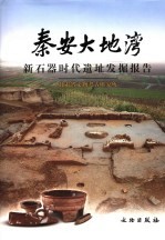 秦安大地湾:新石器时代遗址发掘报告 上
