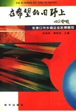 在希望的田野上:张家口市乡镇企业发展概观