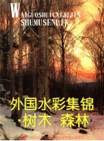 外国水彩集锦 树木森林