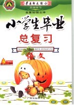 高效学习 小学毕业总复习 语文