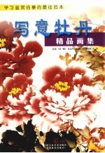 写意牡丹精品画集