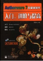 Authorware 7多媒体制作入门、进阶与提高