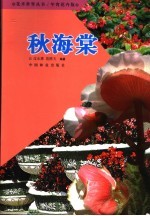 秋海棠 年宵花卉版