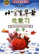 高效学习 小学毕业总复习 数学