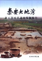 秦安大地湾:新石器时代遗址发掘报告 下