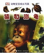 猩猩和海龟