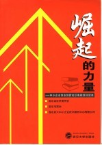 崛起的力量 中小企业创业创新知识电视培训读本
