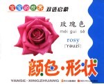 宝宝的世界 颜色·形状