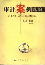 审计案例选编