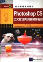 Photoshop CS中文版经典创意案例教程