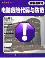 电脑危险代码与防范