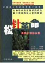 松针革命 健康长寿启示录