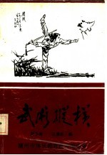 武术纵横