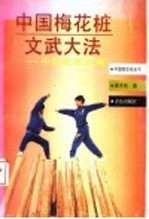 中国梅花桩文武大法 中华武术之魂